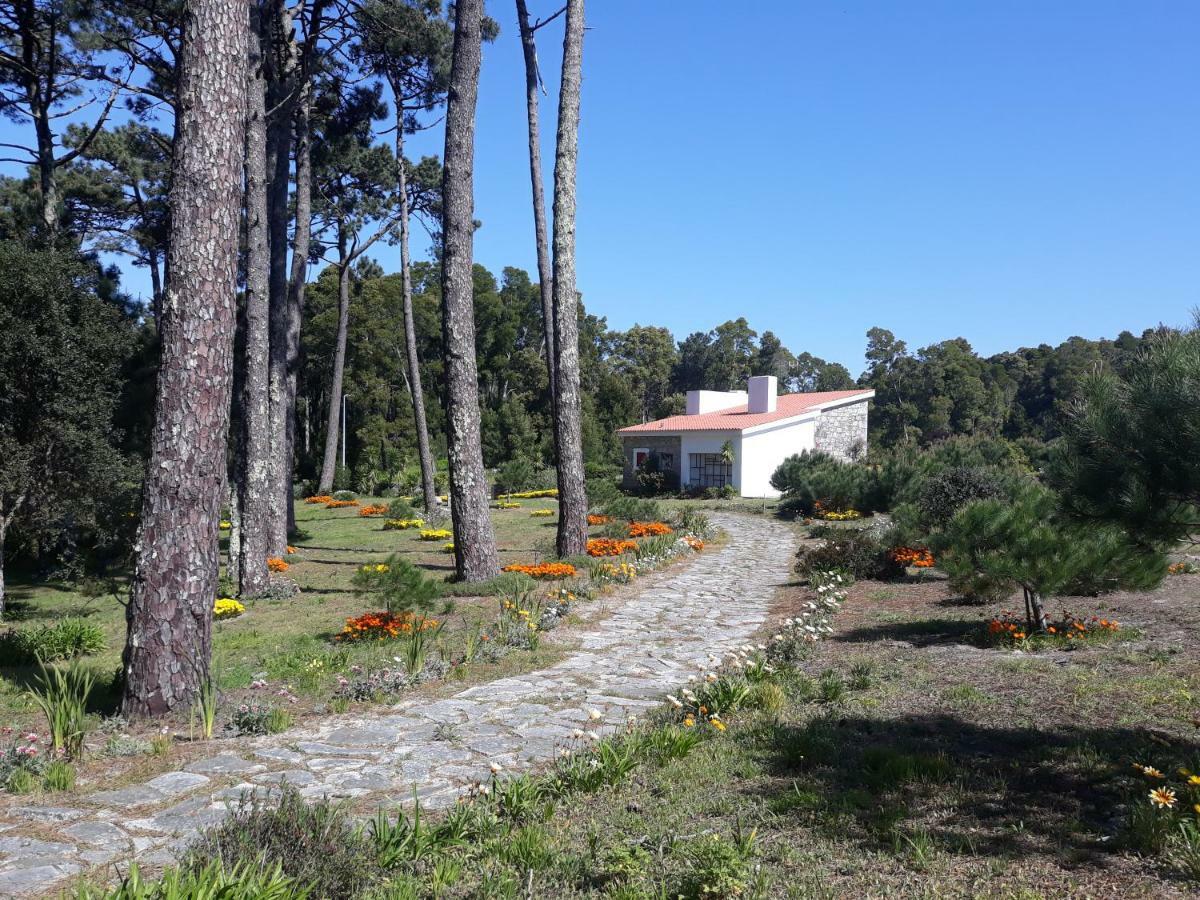 Casa Do Sol Villa Moledo  Eksteriør bilde